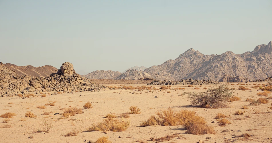 Eco-Friendly Travel in Al Khiran: Responsible Ways to Explore