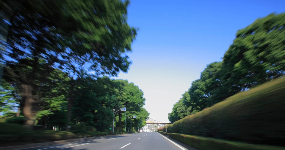 A Day Trip Itinerary: From Kuwait City to Al Khiran